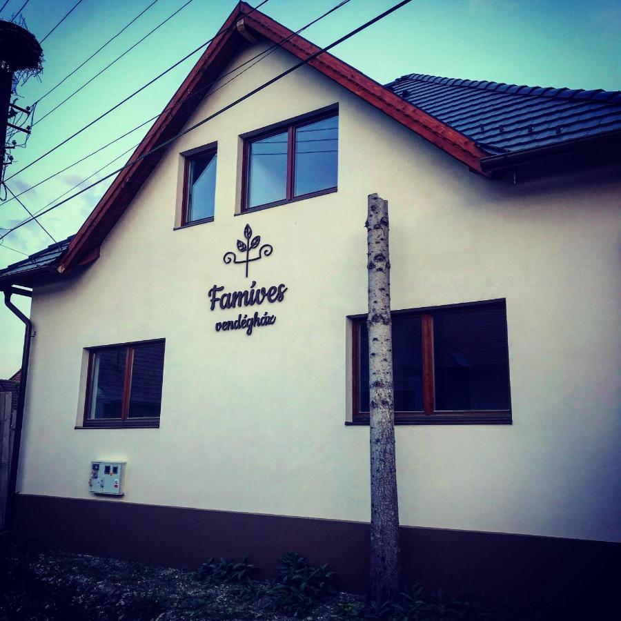 Famives Vendeghaz Bed & Breakfast Racu Exterior photo